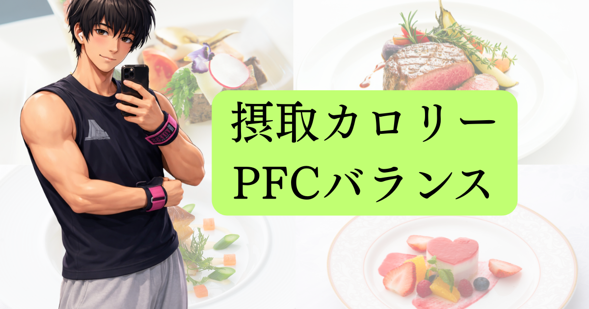 摂取カロリー　　　　　　　PFCバランス計算